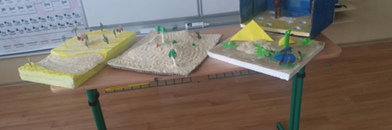 Projekt - model púšte
