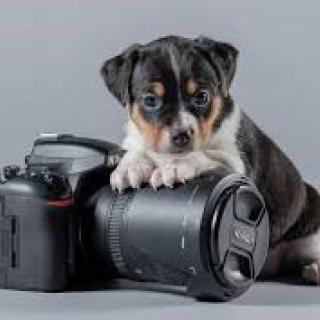 Rozstrzygnięcie konkursu fotograficznego  „Mój Przyjaciel Zwierzak”