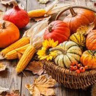 Súťaž o najkrajší výrobok z jesenných plodov