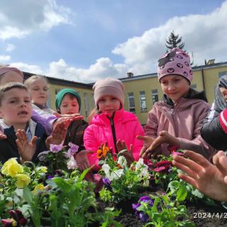Z okazji Dnia Ziemi uczniowie klas 0-3 zasadzili piękne kwiaty na rabatach przed szkołą:-)