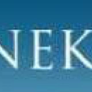 INEKO - rebríček základných škôl 