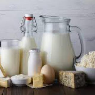 Medzinárodný deň mlieka