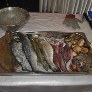 Ryby a morské plody