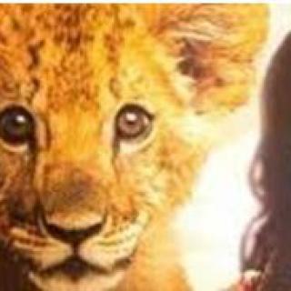 „King: mój przyjaciel lew”