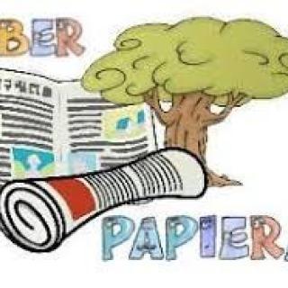 Zber papiera- vyhodnotenie