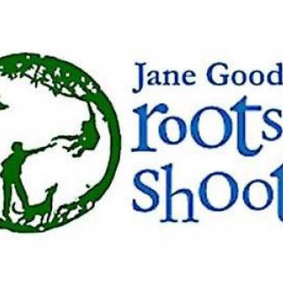 ROOTS AND SHOOTS