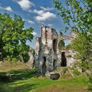 KOŽAZ - Viniansky hrad