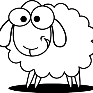 "Vom Schaf zur Wolle" - Unterrichtsbesuch in einer Schäferei