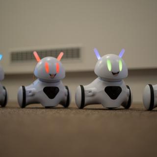 Roboty Photon na lekcjach informatyki