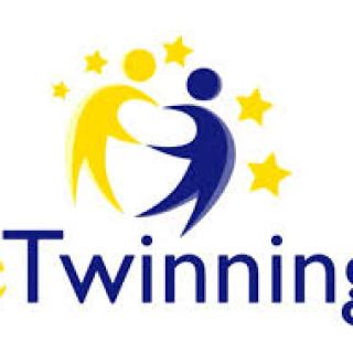 E -twinning