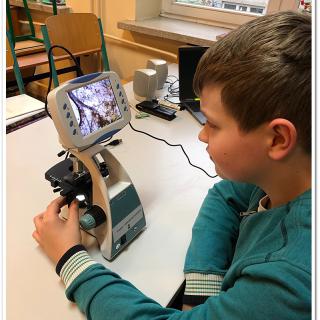 Uczeń obserwujący preparat pod mikroskopem.