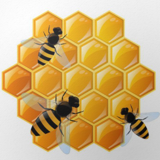 Včely, včielky, včeličky