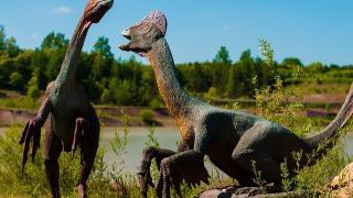  26 Lutego Dzień Dinozaura
