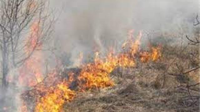 Ochrana lesov a prírodného prostredia pred požiarmi