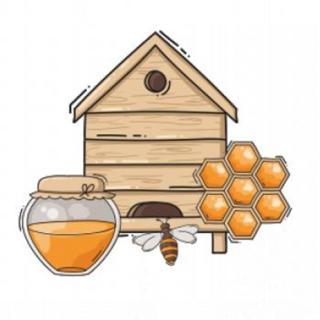 Ukážka včelárstva - Beseda s miestnym včelárom