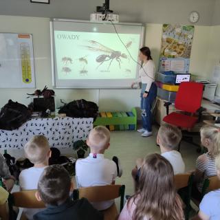 Uczniowie w klasie oglądający prezentację o mrówkach.