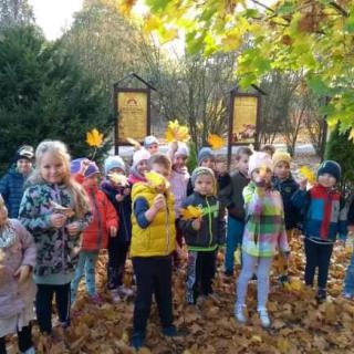 Jesienny spacer i prowadzenie doświadczeń w przedszkolu
