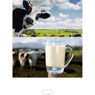 Svetový deň mlieka v I.A
