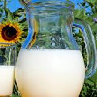 Svetový deň mlieka