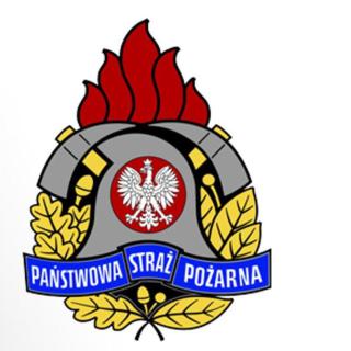 Sukces naszego ucznia w finale powiatowym Ogólnopolskiego Turnieju Wiedzy Pożarniczej 