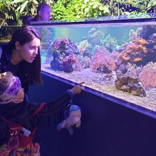 Wycieczka przedszkolaków do Oceanarium w Chrustach