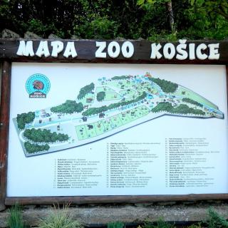 Školský výlet - ZOO Košice