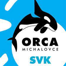Orca plavecký klub Michalovce