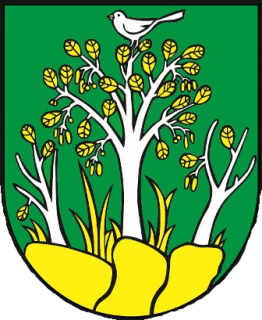 Obec Olešná