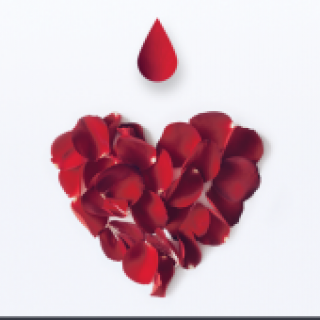 Valentínska kvapka krvi