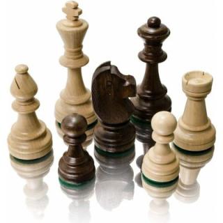 Úspešný šachista