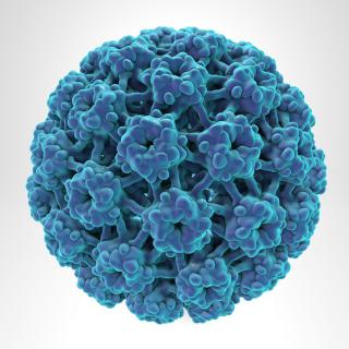 Prednáška o HPV (human papilloma virus)