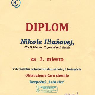 SLIZ, Nikolka Iliašová, ročníkový projekt