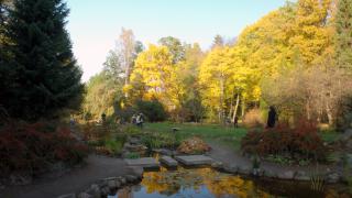 Uroki jesieni w rogowskim arboretum