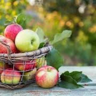 Ochutnávka jabĺk