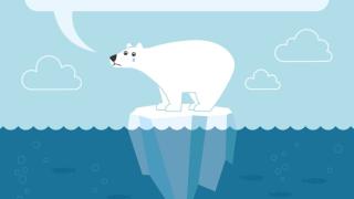 Międzynarodowy Dzień Niedźwiedzia Polarnego w świetlicy 