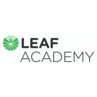 Víťazka Leaf Essay Competition 2023 je z nášho gymnázia