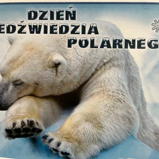 Dzień Niedźwiedzia Polarnego