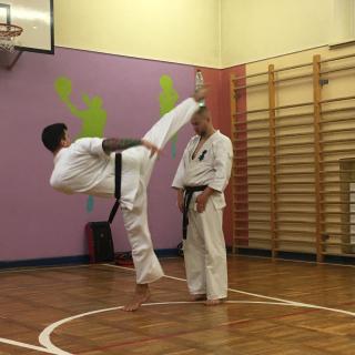Pokaz karate