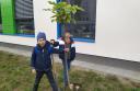 Świetlica - Klasa 2d sadzi drzewka