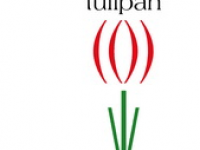 Septembrový  tulipán  22. 9. 2023