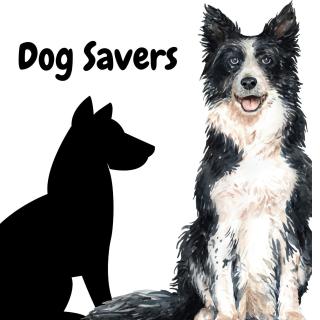 Projekt Dog Savers