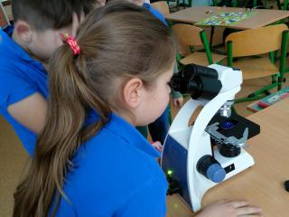 Odkrywanie świata z mikroskopem