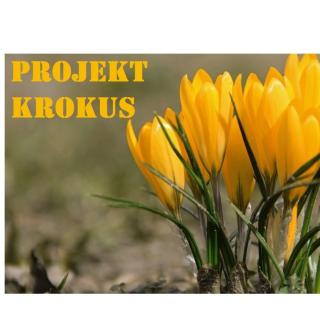 "Projekt Krokus" w naszej szkole