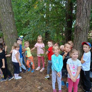 Przedszkole - Grupa Żabki bierze udział w Kampanii Przytul się do drzewa