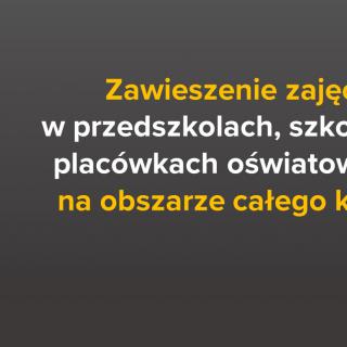 Zawieszenie zajęć w PSM Łosice