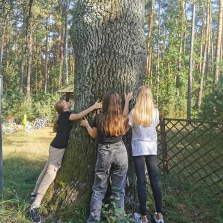 Ogólnopolska Kampania „Przytul się do drzewa”