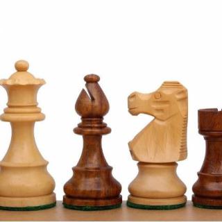 Žiacky šachový turnaj