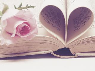 Love is in the air (also in books) <3 