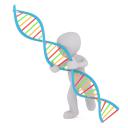 MODEL PRZESTRZENNY DNA - KLASY 8