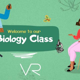 Owady i VR/ biologia w 6a